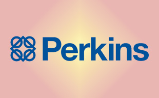 ✓ Perkins SE116Y Насос масляный  